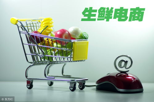 開網店如何辦理食品經營許可證 流程、要求與注意事項詳解
